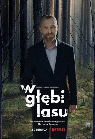 В густом лесу - постер